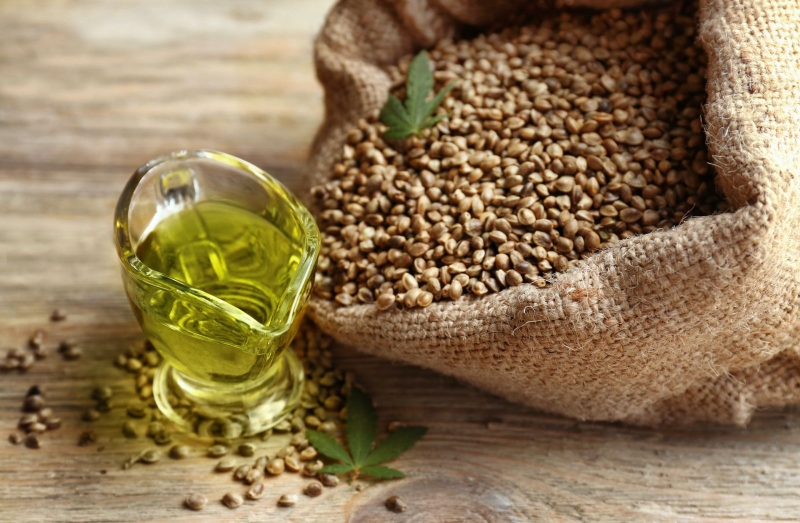 Hạt gai dầu dùng làm thực phẩm, còn gọi là hemp seeds chứa nhiều Omega 3
