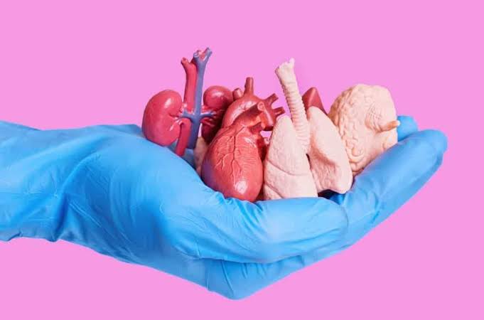 Những bộ phận nào trên cơ thể có thể hiến tặng?